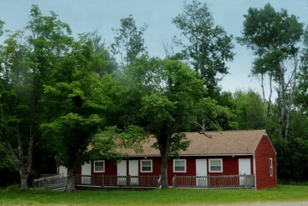 Picture 19