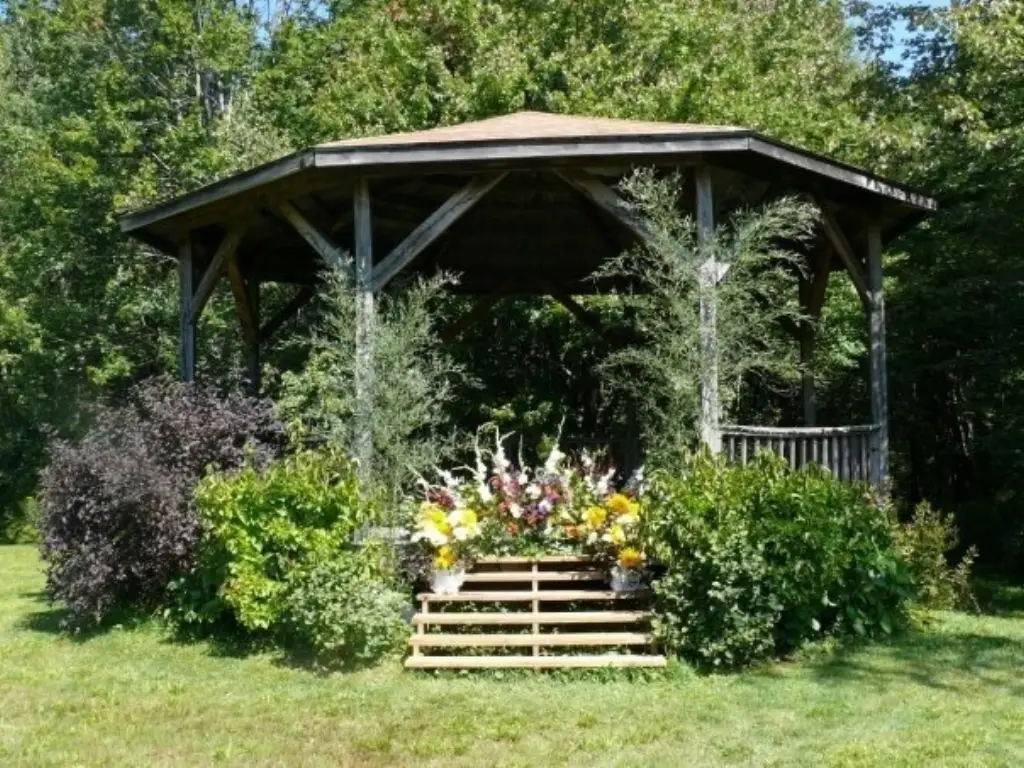 Picture 28