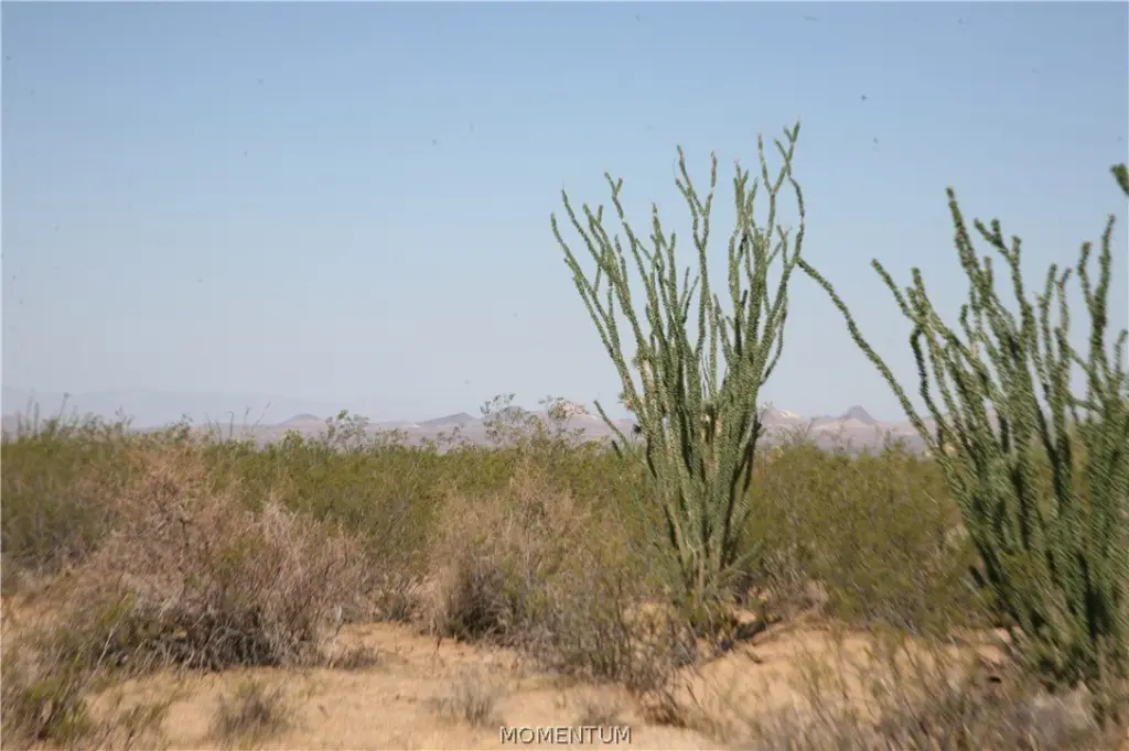 Picture 26