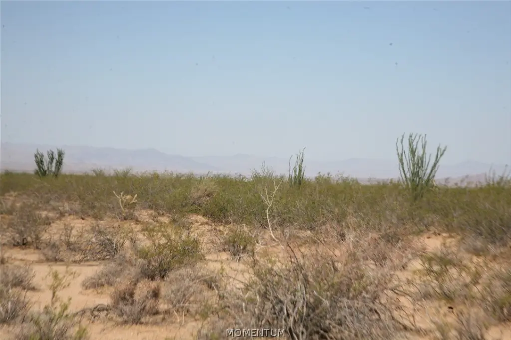Picture 24