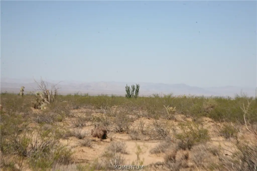 Picture 23