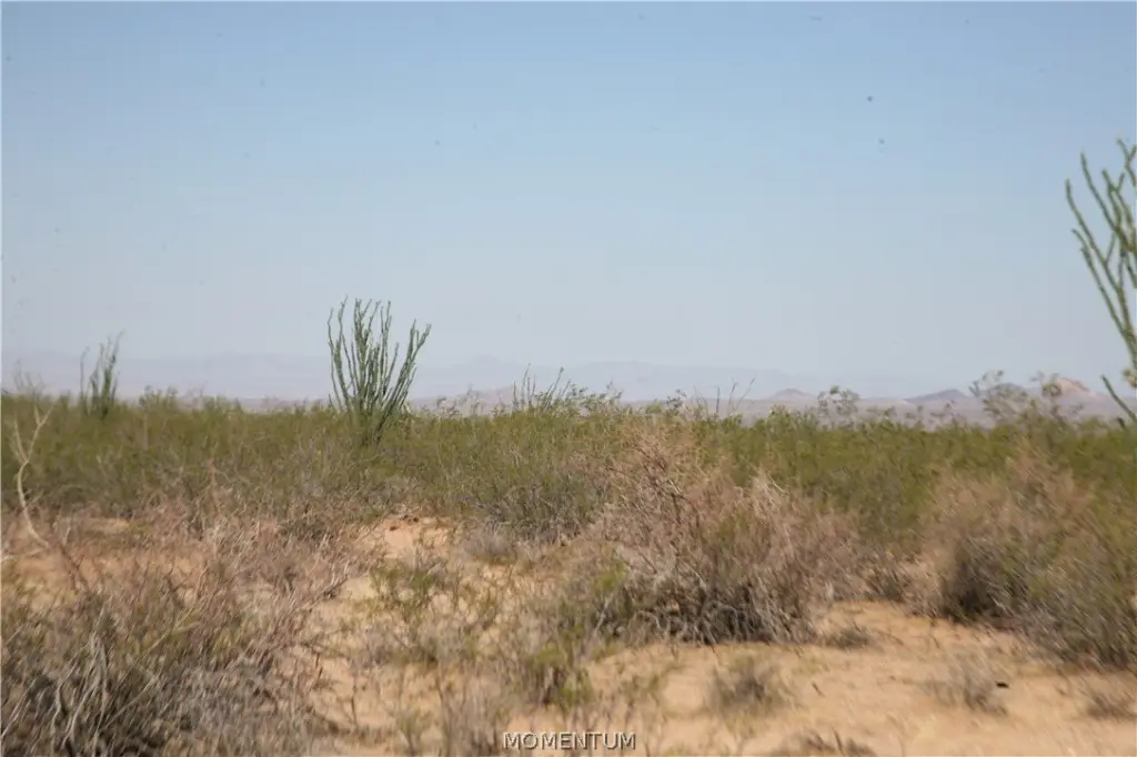 Picture 25