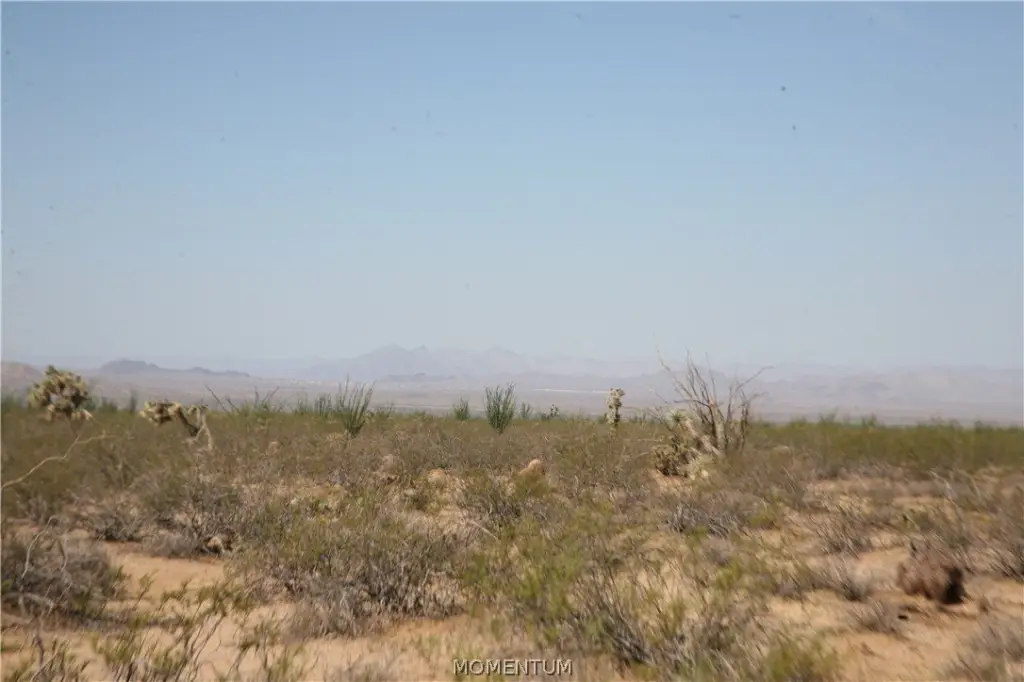 Picture 22