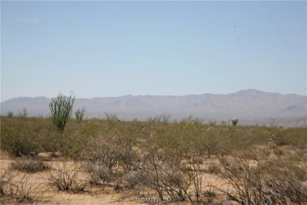 Picture 18