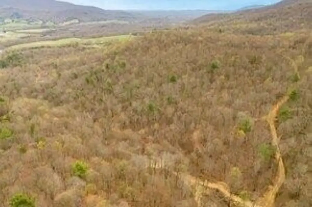 Picture 7