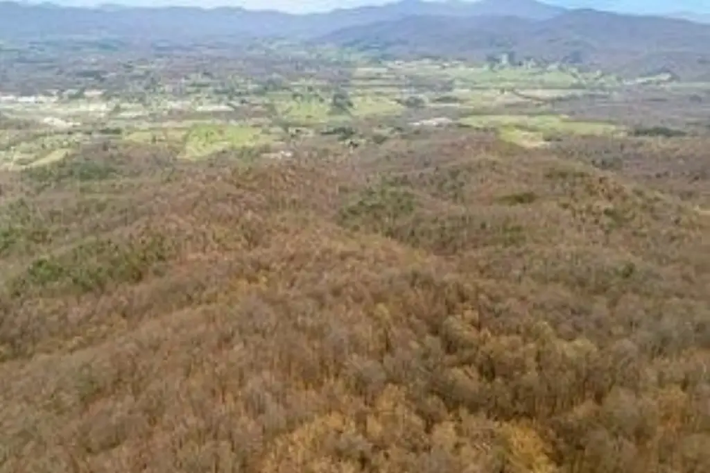 Picture 8