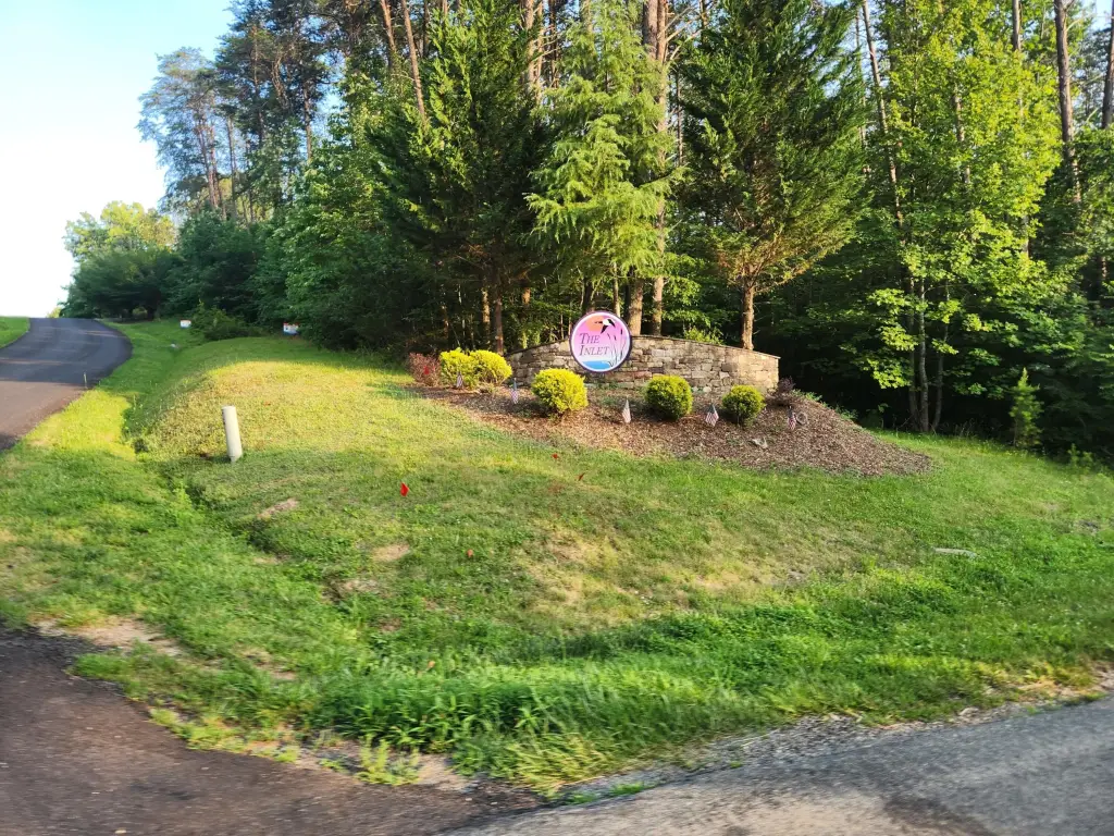 Picture 14