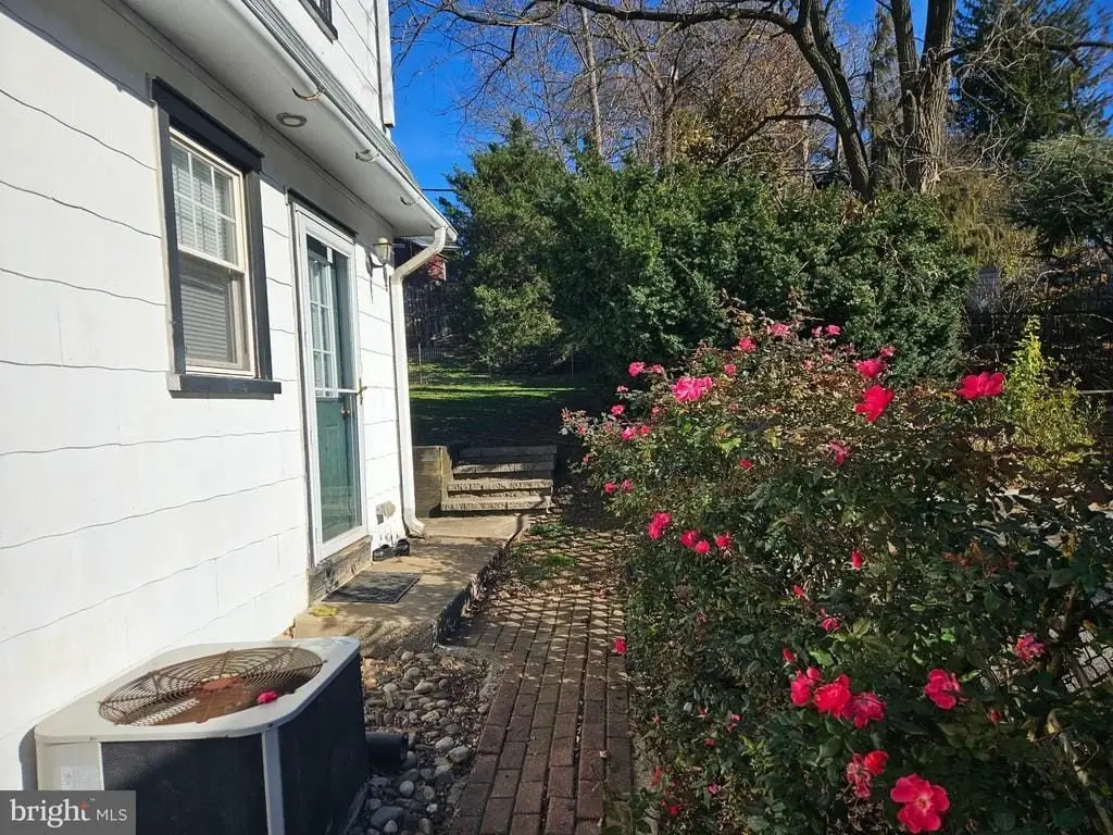 Picture 34