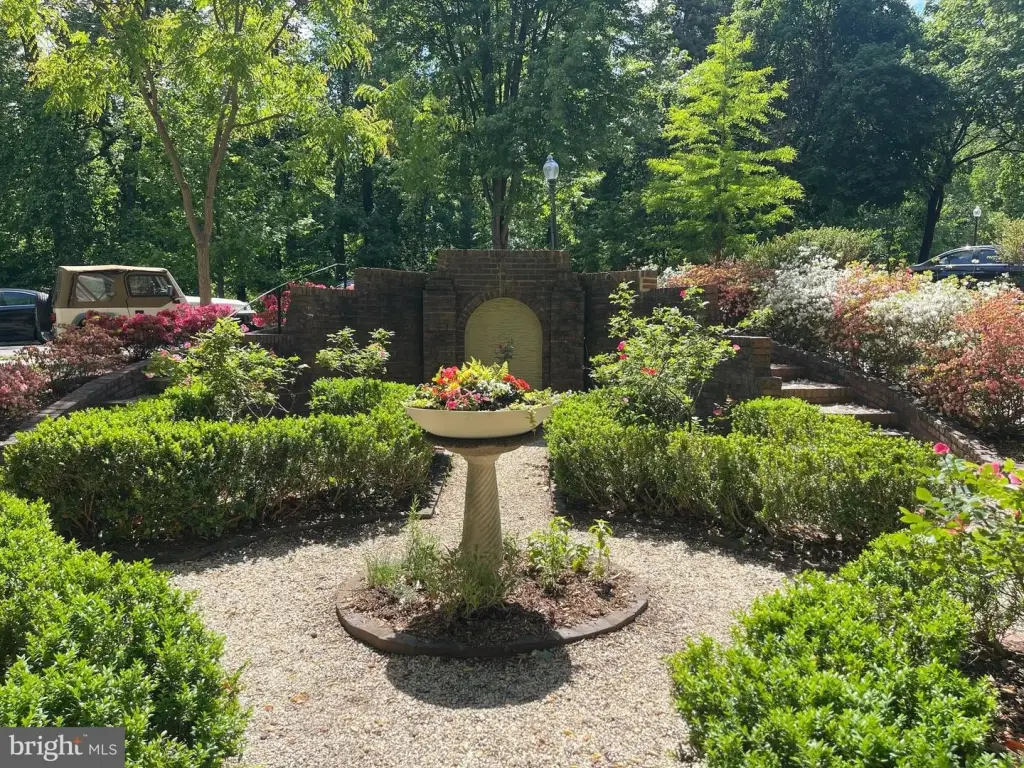 Picture 27