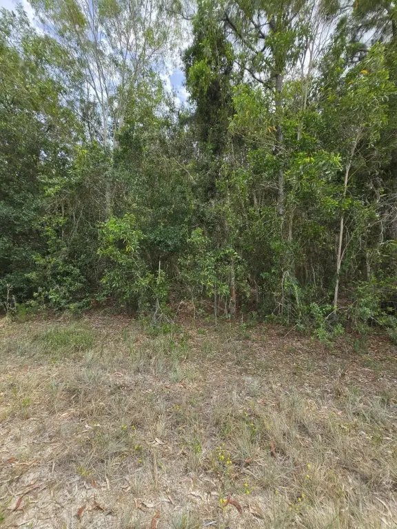 Picture 8
