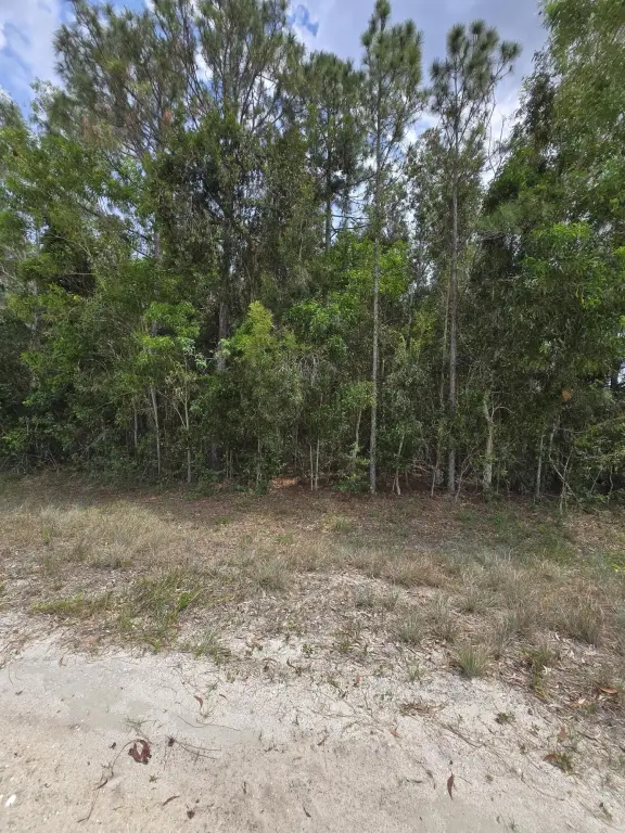 Picture 3