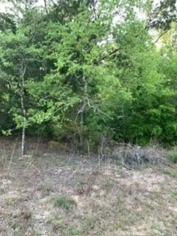 Picture 7
