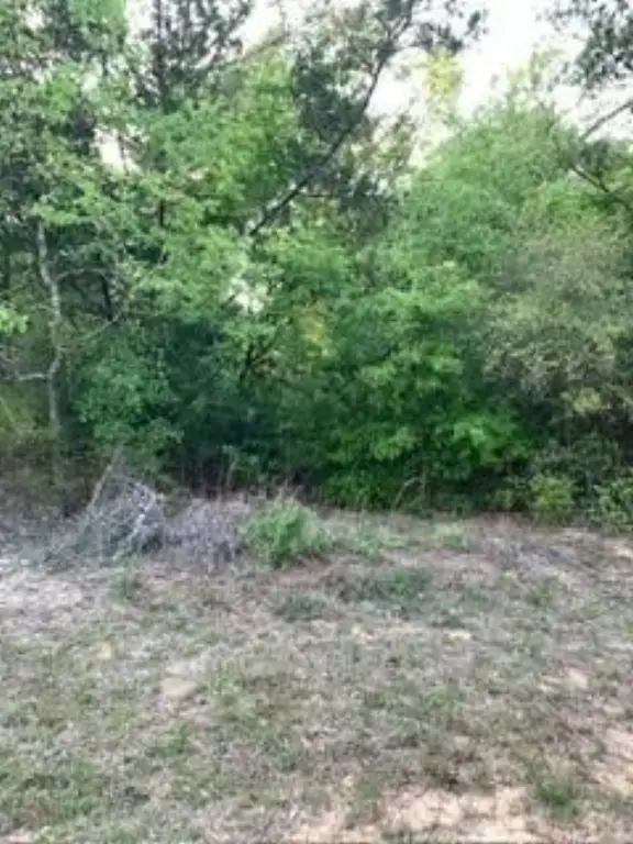 Picture 11
