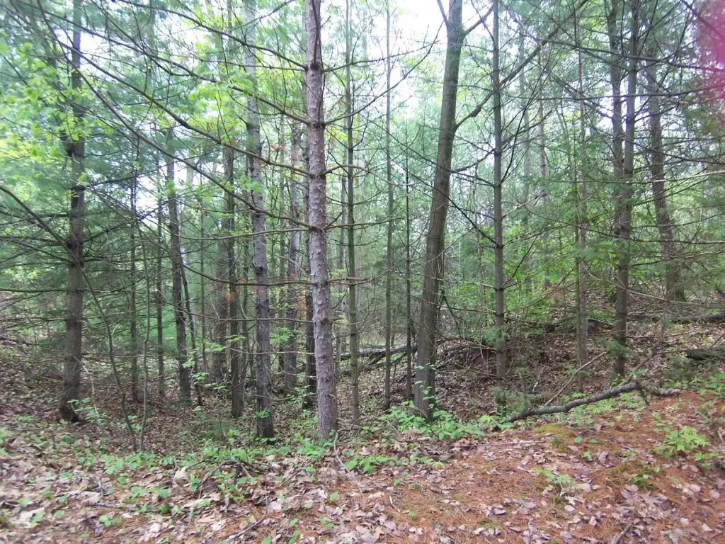 Picture 3