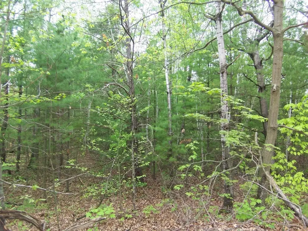 Picture 10