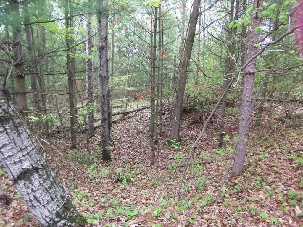 Picture 4