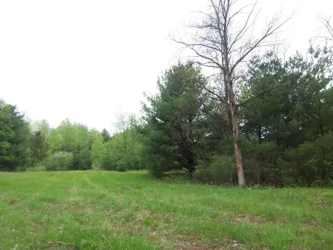 Wooded Lot Near Green Bay