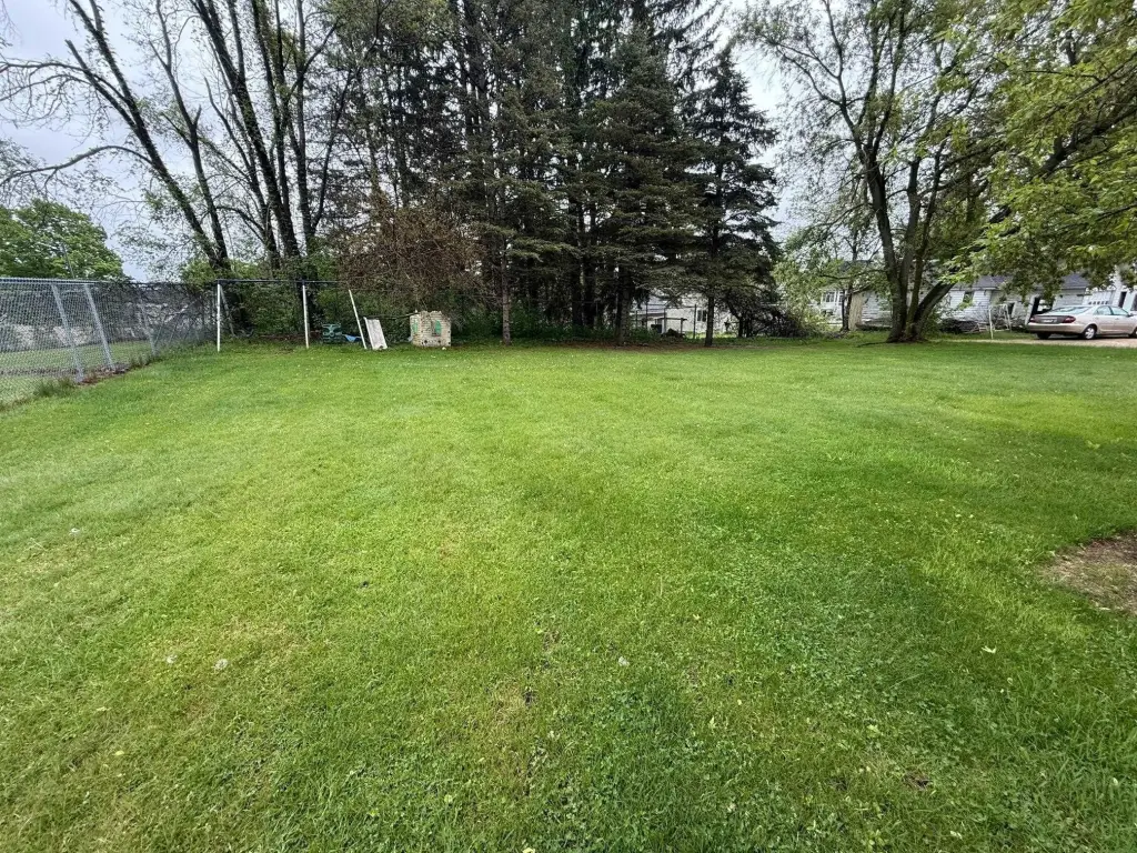 Picture 19