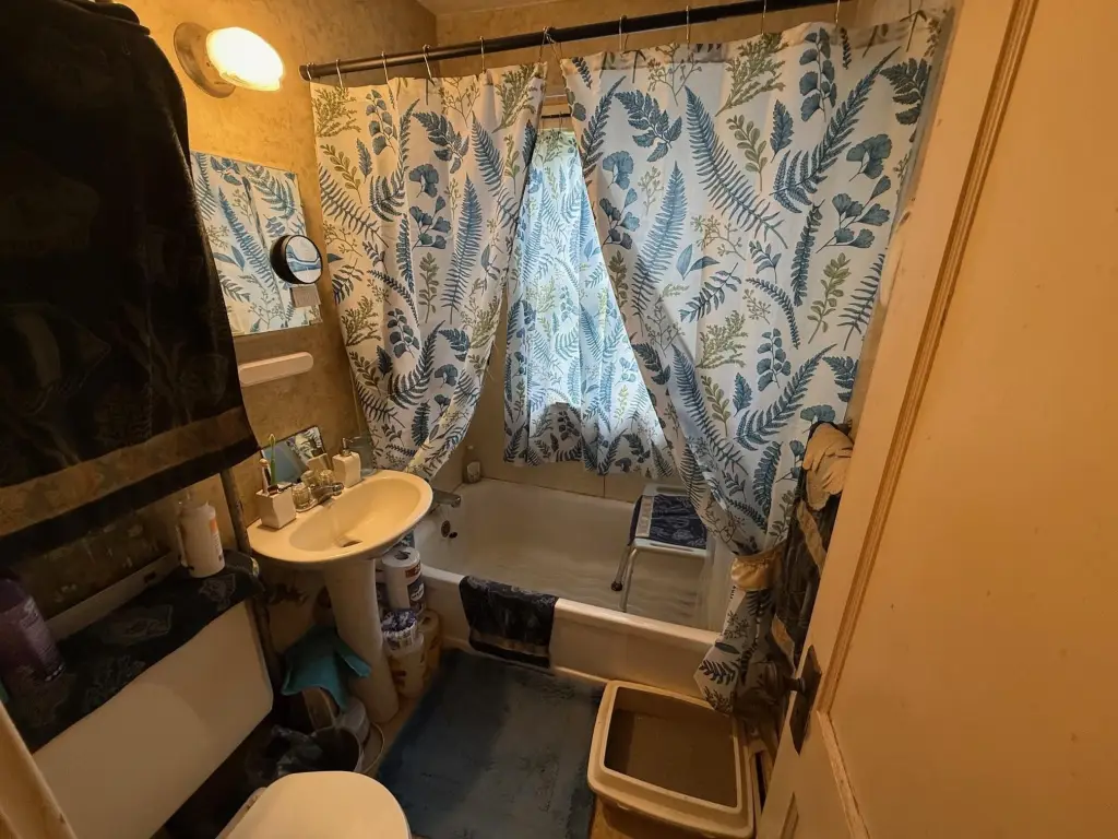 Picture 23