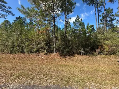 Wooded Lot in Perkinston, MS