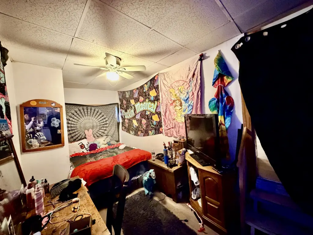 Picture 19