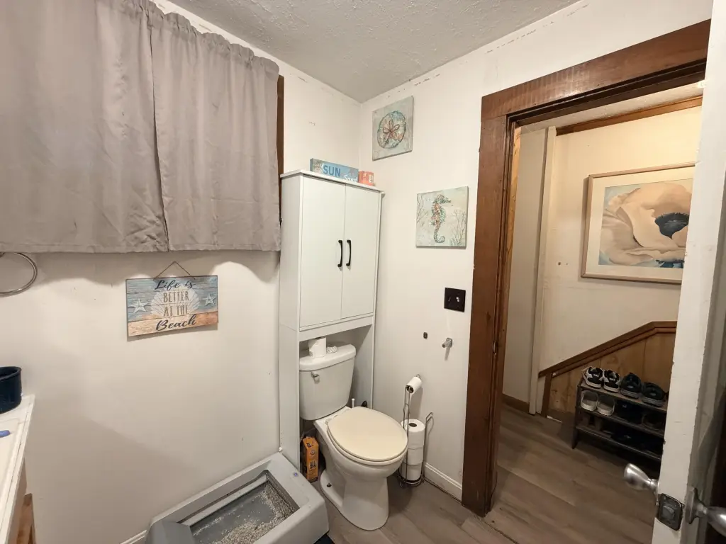 Picture 15