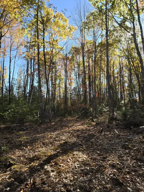 Picture 23