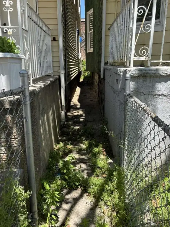 Picture 5