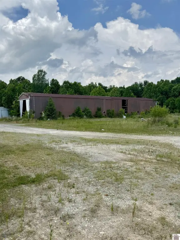 Picture 4