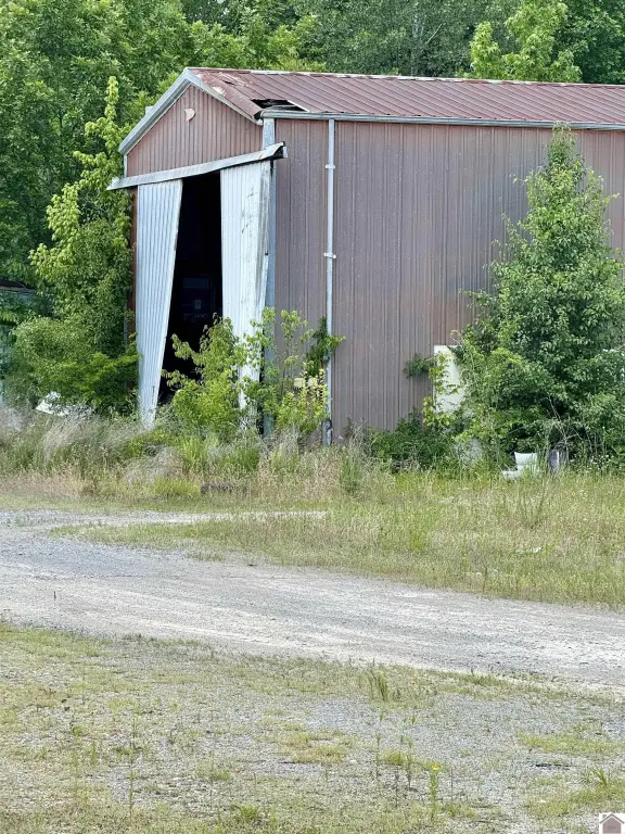 Picture 5