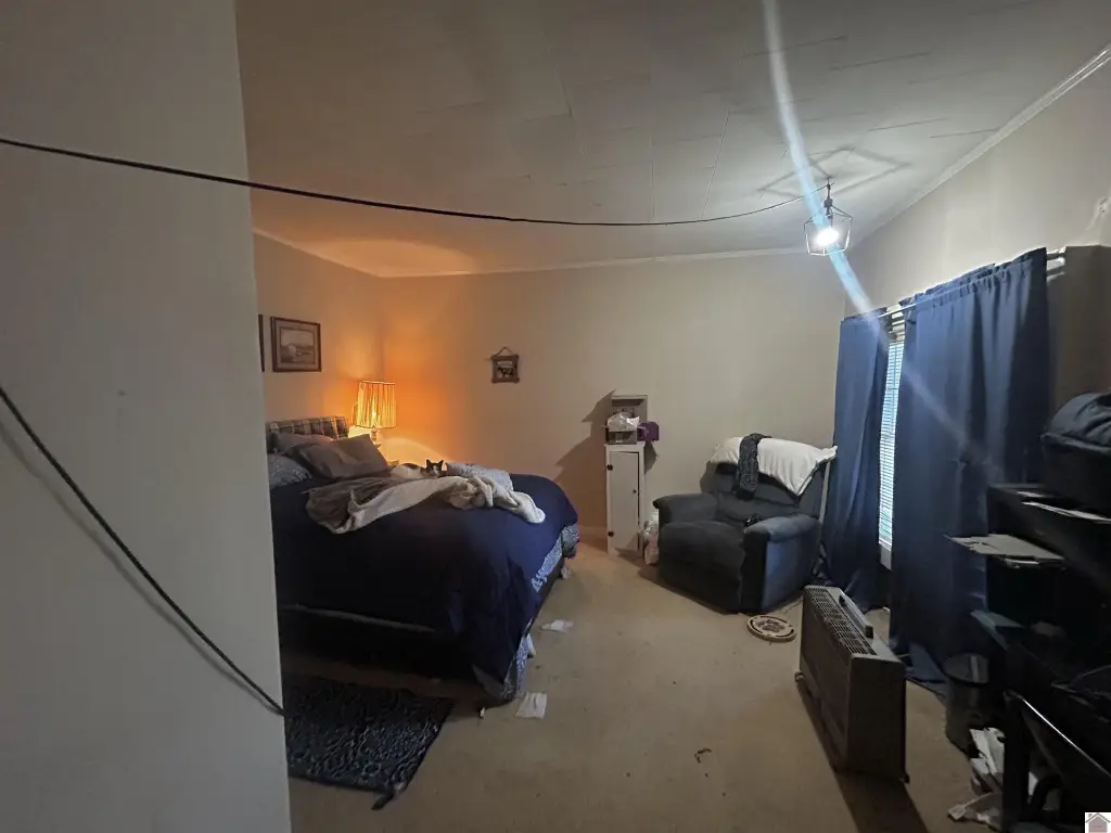 Picture 42