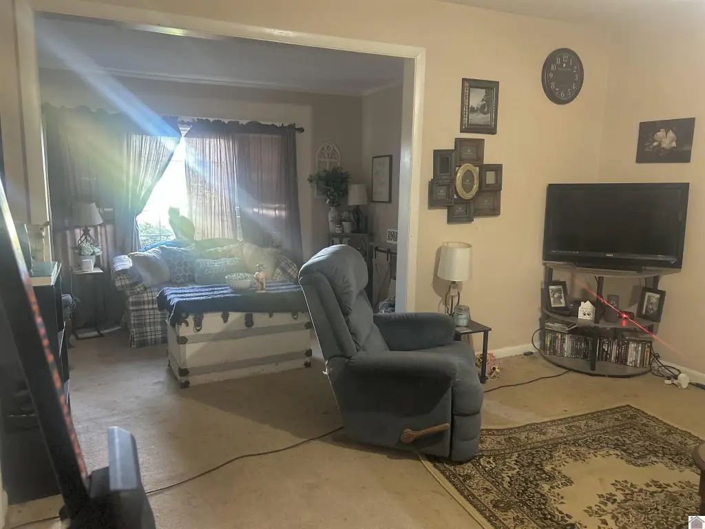 Picture 31