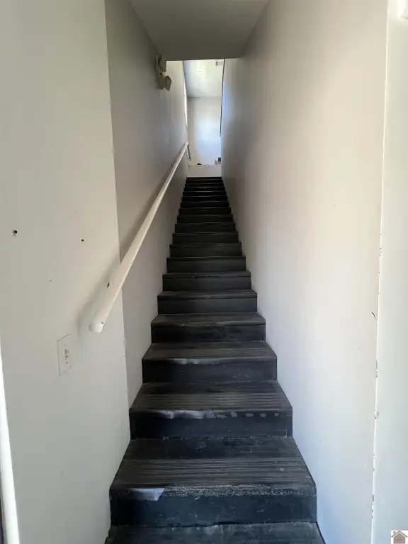 Picture 41
