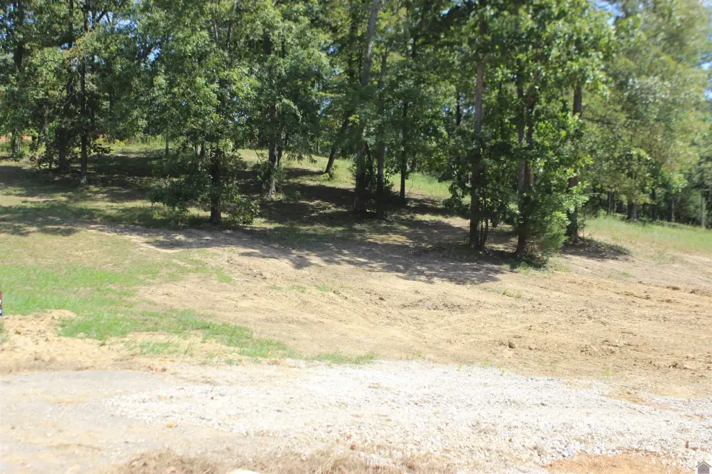 Picture 15