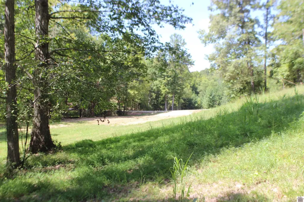 Picture 9