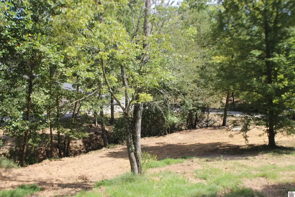 Picture 12
