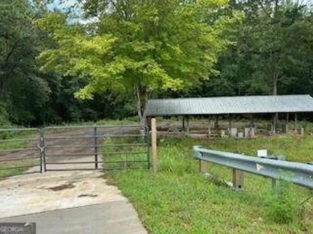Picture 10