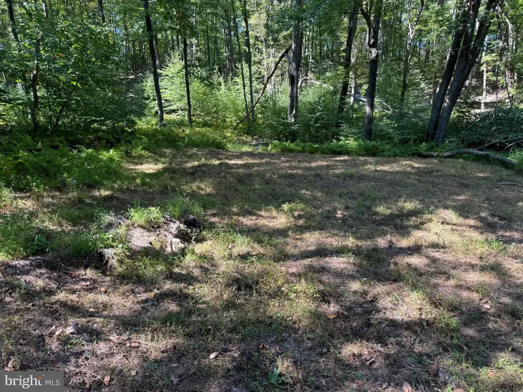 Picture 29