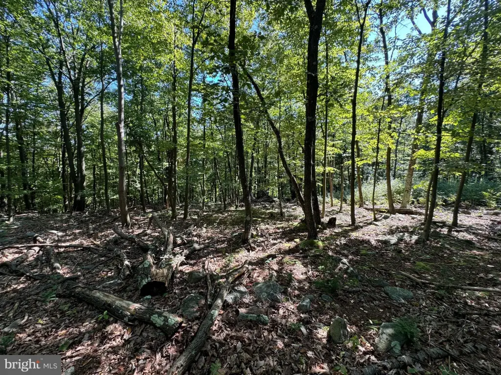 Picture 28