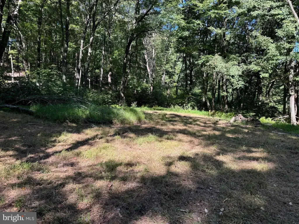 Picture 30