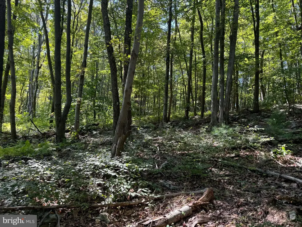 Picture 25