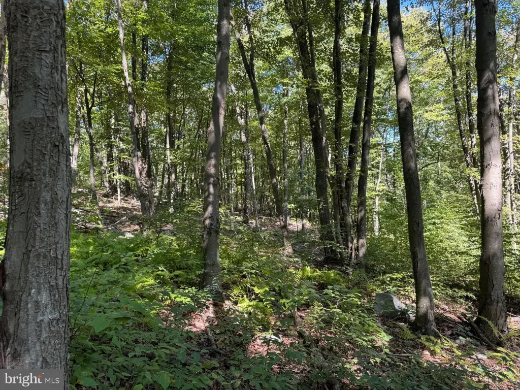 Picture 23