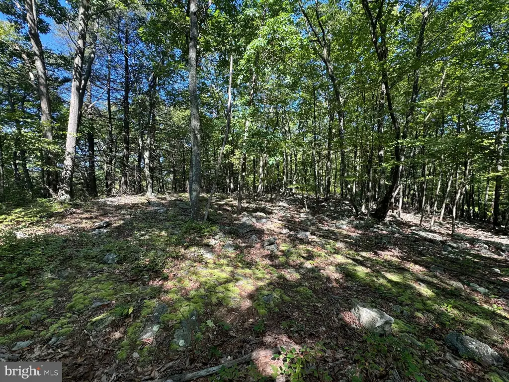 Picture 26