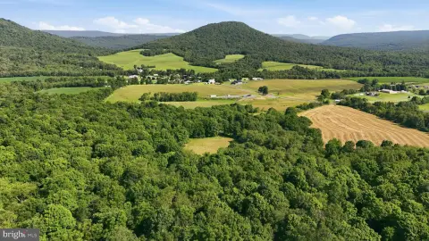 Wooded Hunting Land