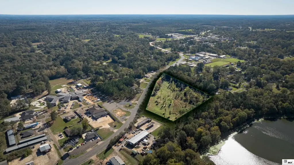 Picture 3