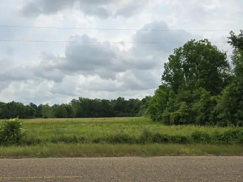 Residential Land in Ashford, Alabama