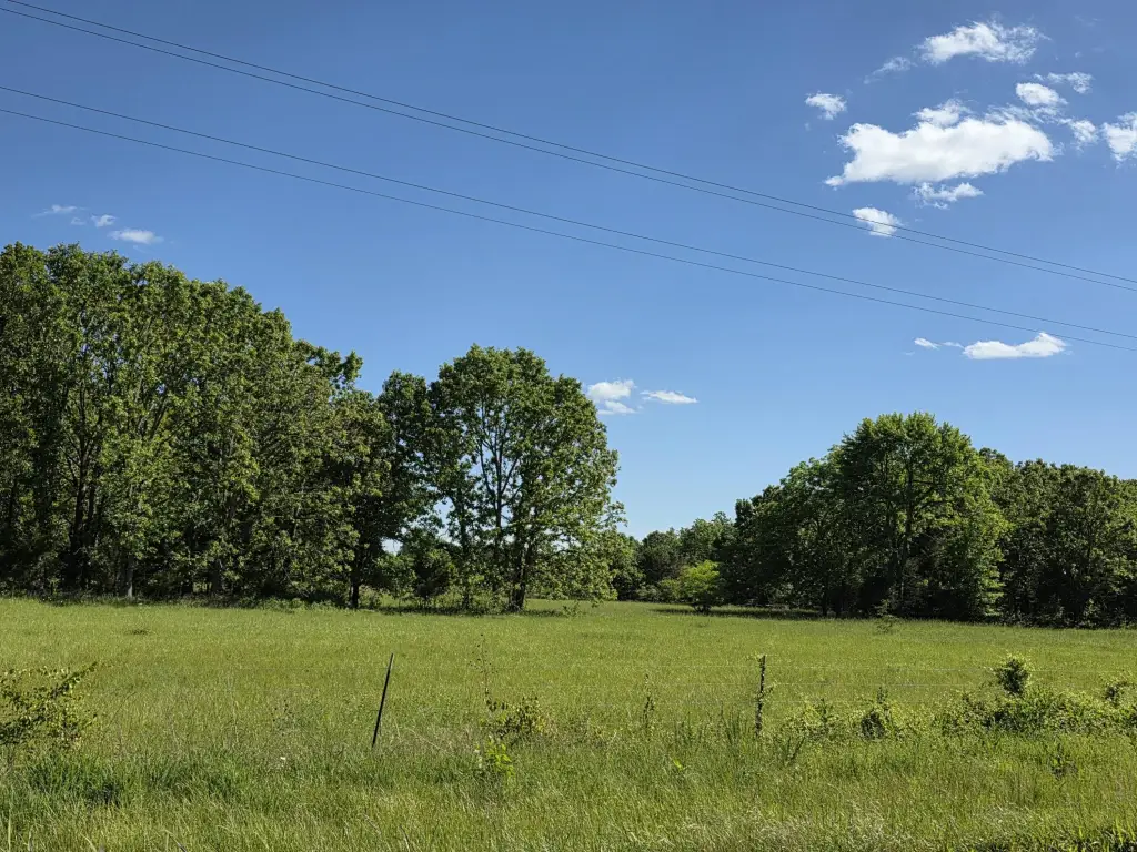 Picture 6
