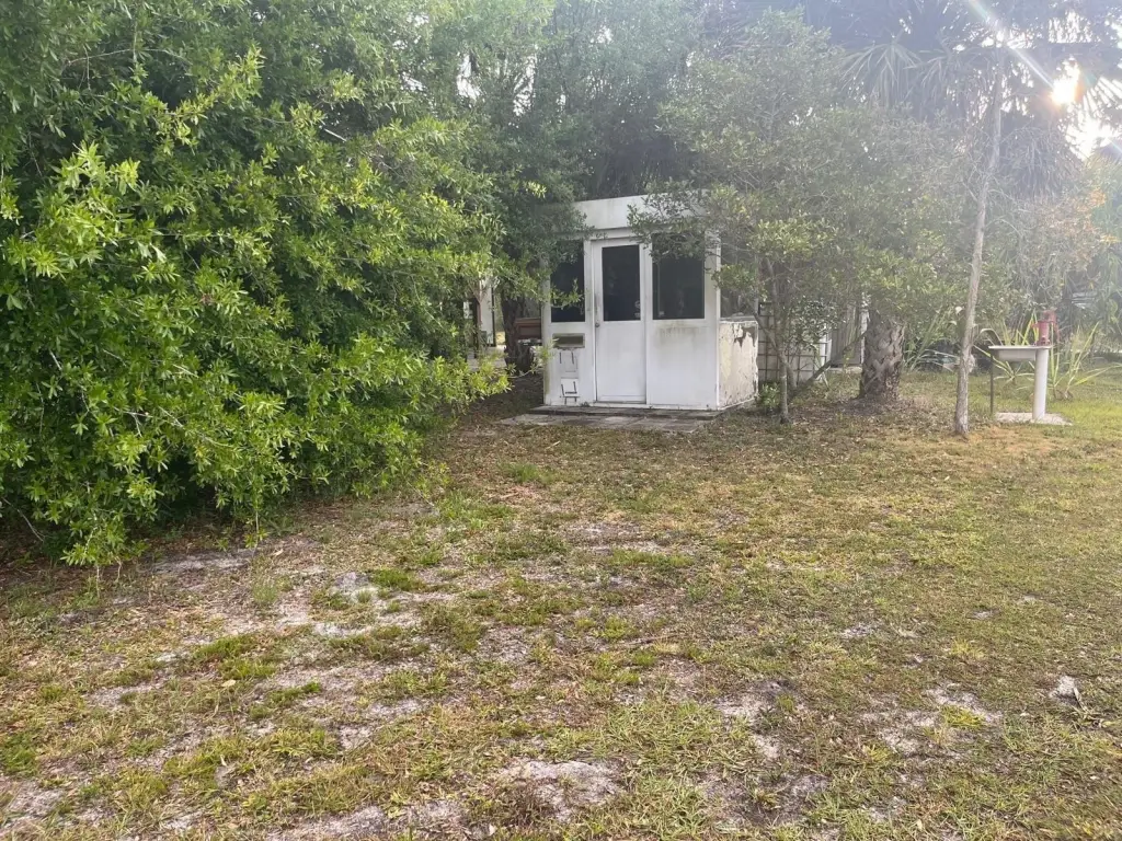 Picture 25