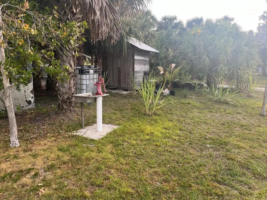 Picture 26