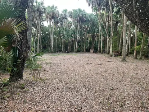 Okeechobee Land with Fruit Trees